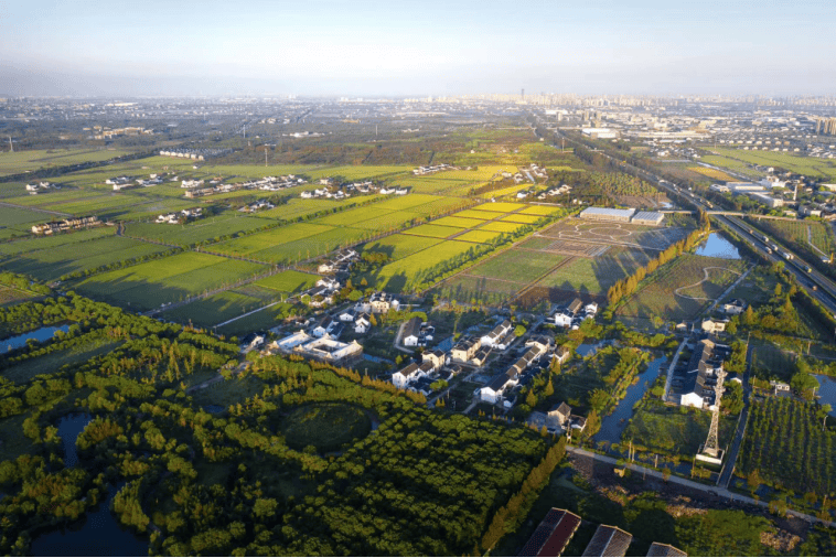 逛沪郊!奉贤、崇明限时优惠来啦CQ9电子app【乐游】初冬(图5) 逛沪郊!奉贤、崇明限时优惠来啦CQ9电子app【乐游】初冬(图5)