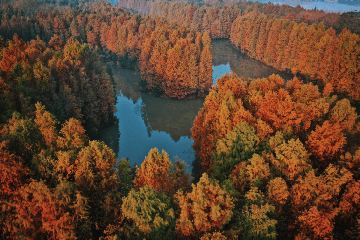 逛沪郊!奉贤、崇明限时优惠来啦CQ9电子app【乐游】初冬(图8) 逛沪郊!奉贤、崇明限时优惠来啦CQ9电子app【乐游】初冬(图8)