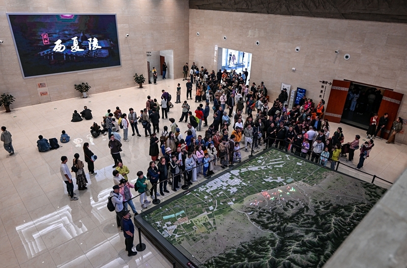 “人文”与“经济”辉映共生CQ9电子平台双节相遇！(图6)